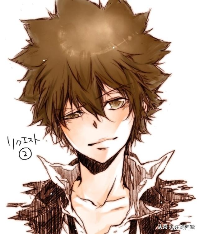 家庭教师彭格列守护者排名 超多美图_图片