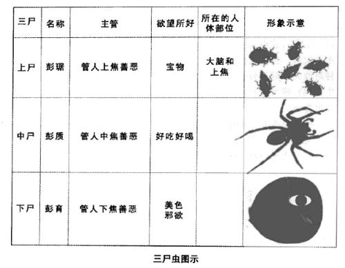 除此之外在《抱朴子》中有描述道,三尸虫都姓彭,上尸叫彭琚,使人贪吃