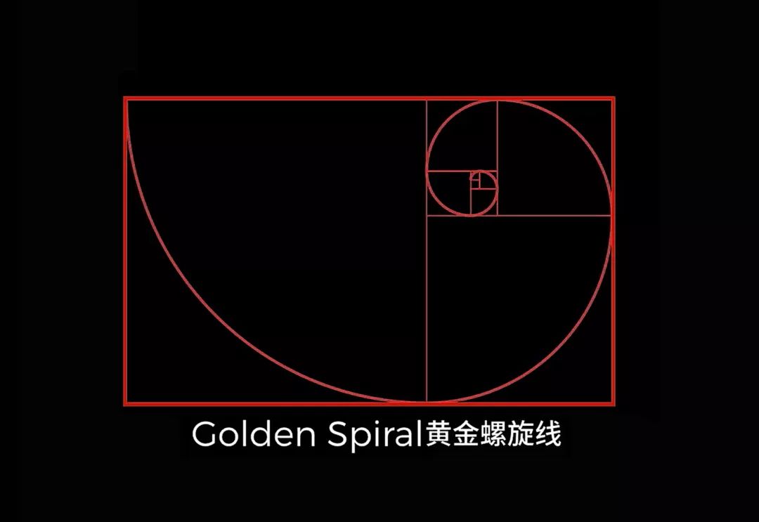 黄金螺旋线的画法图片