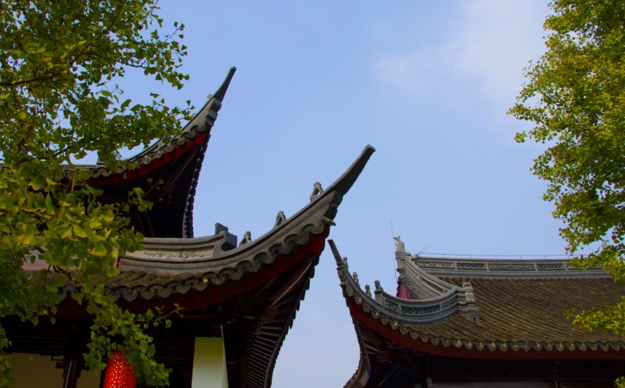 崇明这些独特风景等你来拍出逆天美照