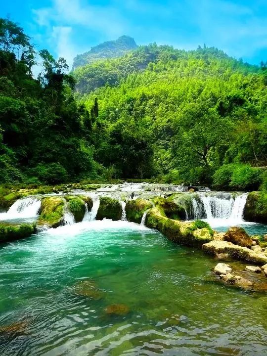 满屏都是负离子,各种绿交叠在一起:孔雀绿,墨绿,翠绿,蓝绿.