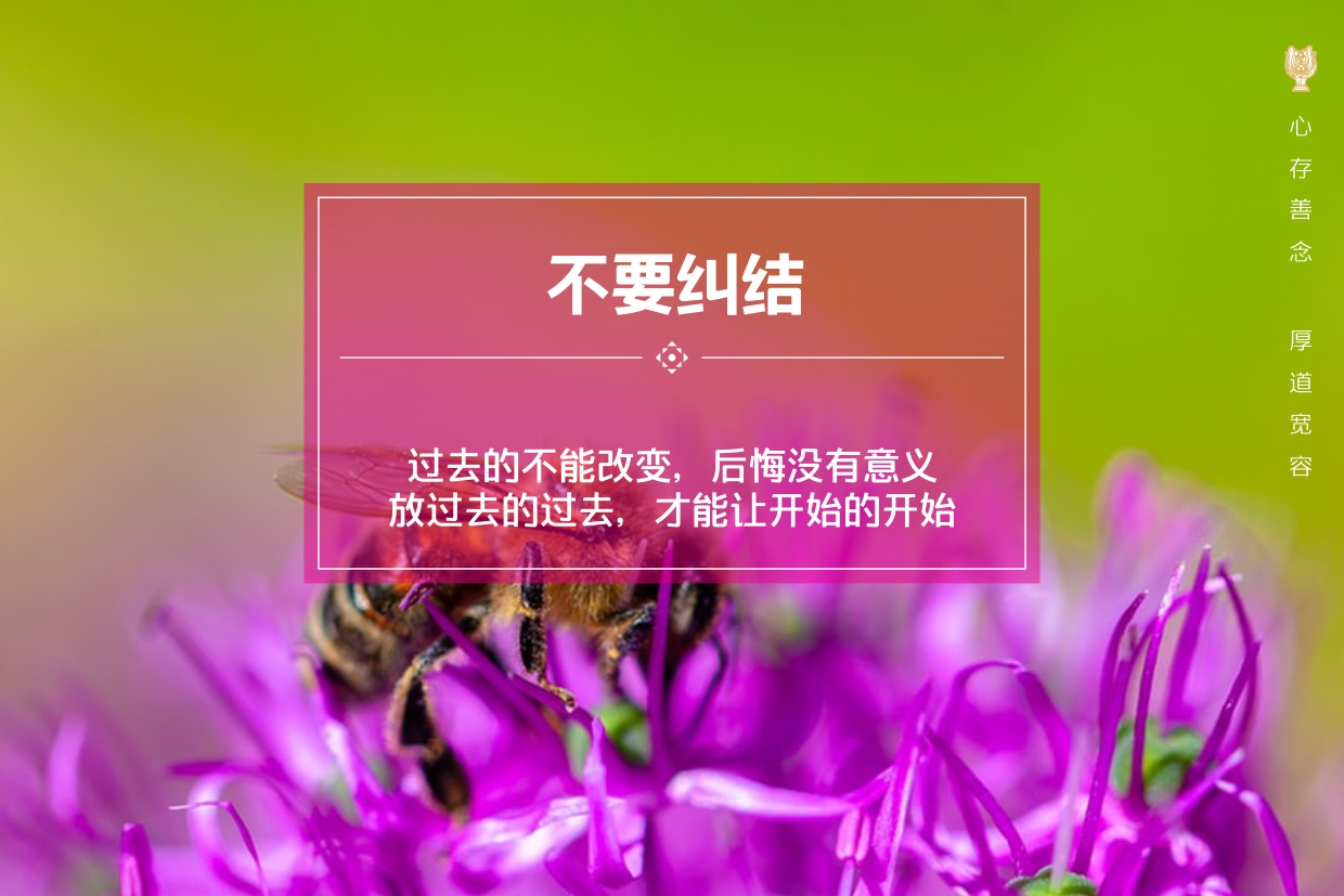 人生永不言败
