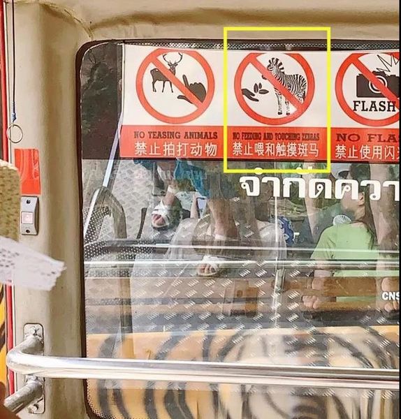 可怕斑马咬掉女游客半截手指再也别这么逗动物了