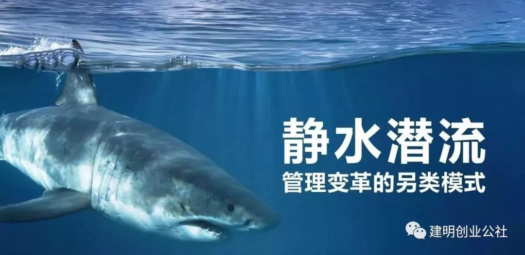 不得不服的华为管理任正非给员工讲的18个故事