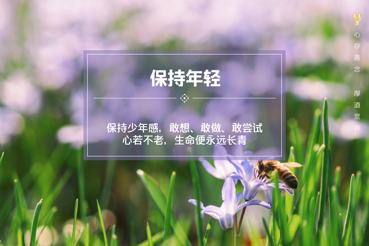 人生永不言败