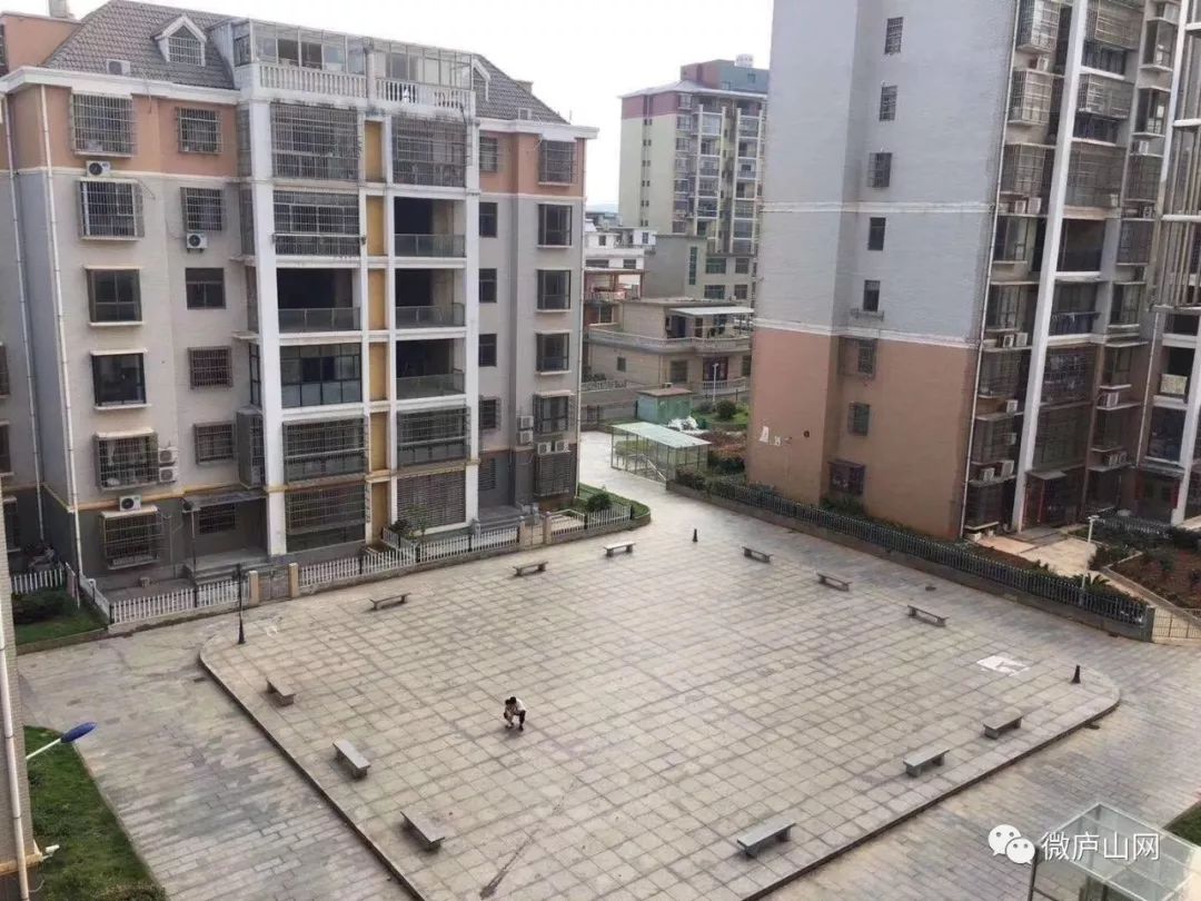 庐山市4套二手房低价急售!庐湖春天,金枫花园,星光大道.都有!