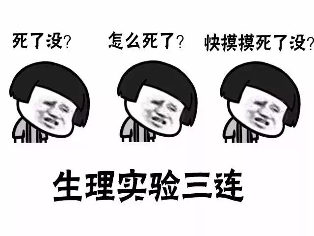 医学生三连专用表情包