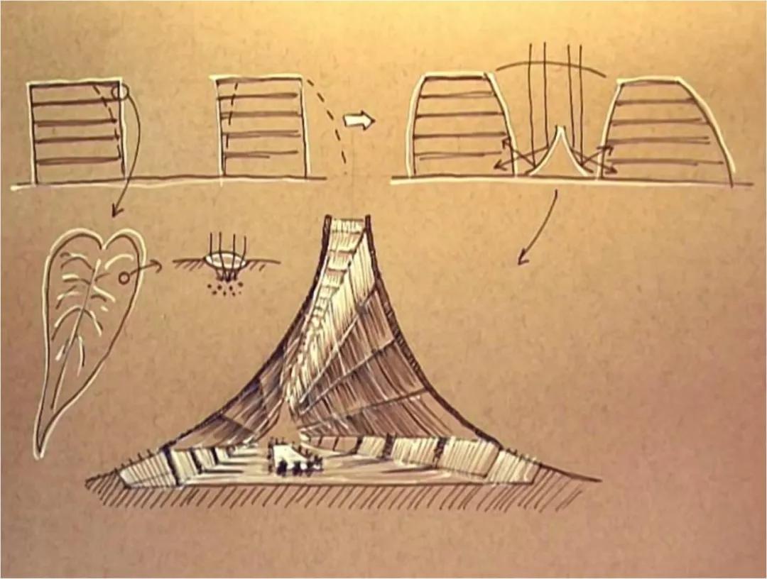 建筑也能仿生,模仿生物结构的设计节能又高效