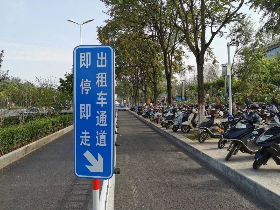 设置了出租车专用通道政务大厅门前施划了停车位还施划了非机动车停车