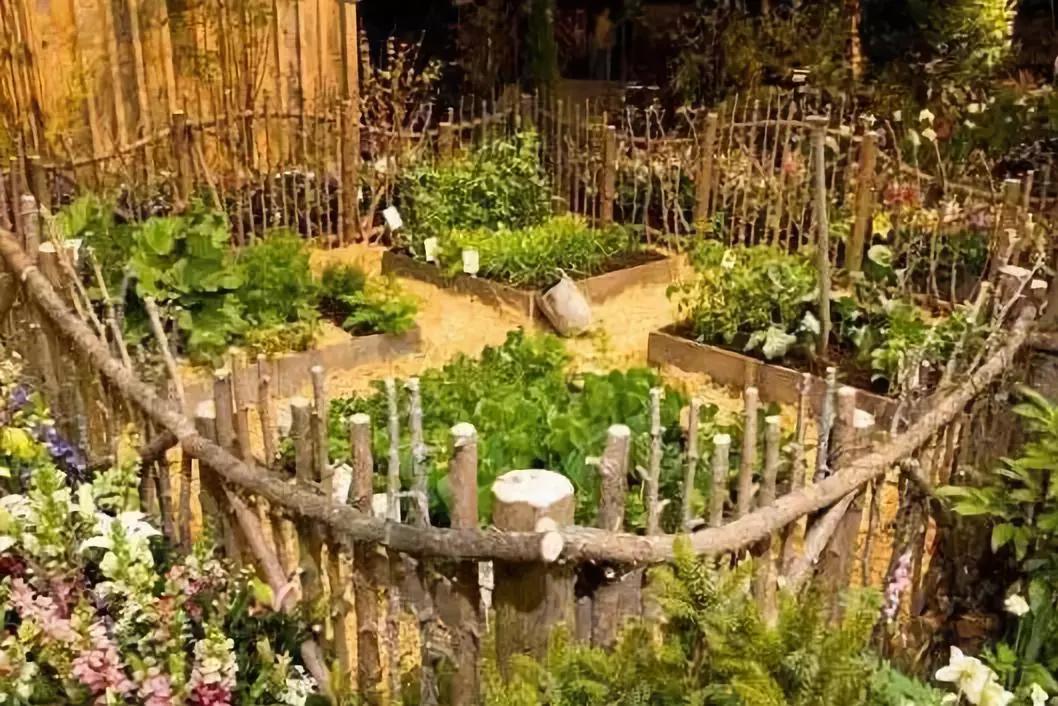 篱笆小院中,待繁华落尽时,与你静守流年_花香