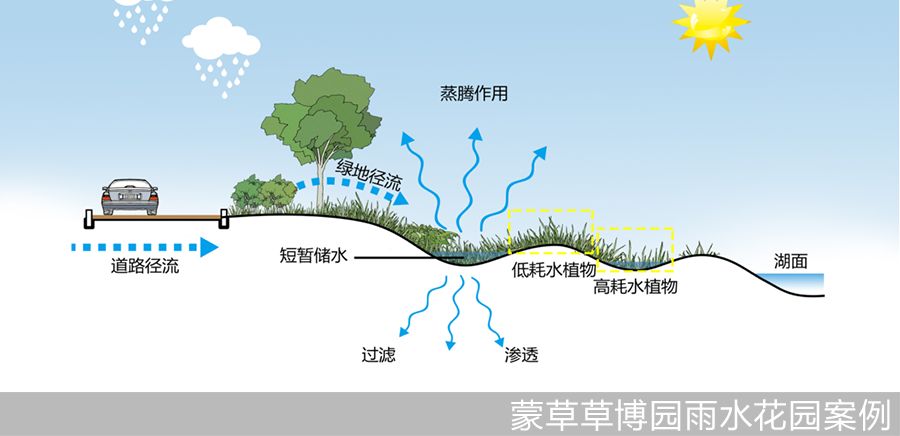 雨水花园功能结构图图片