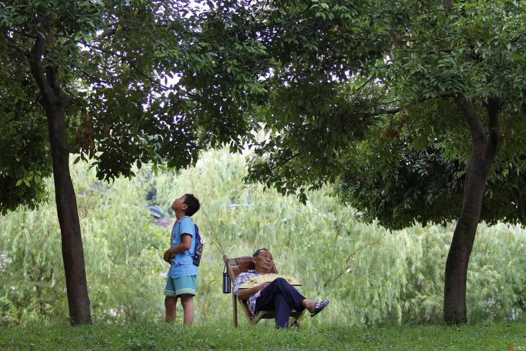 朝读美文 | 汪曾祺:夏天