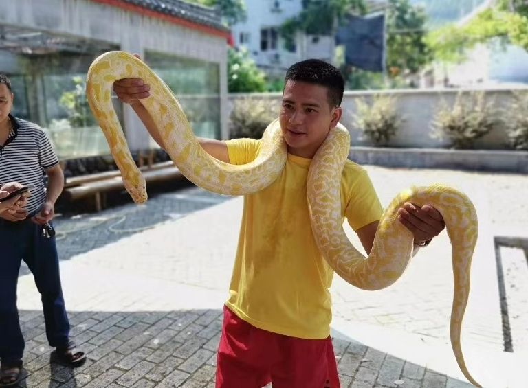 福建这个地方又火了!