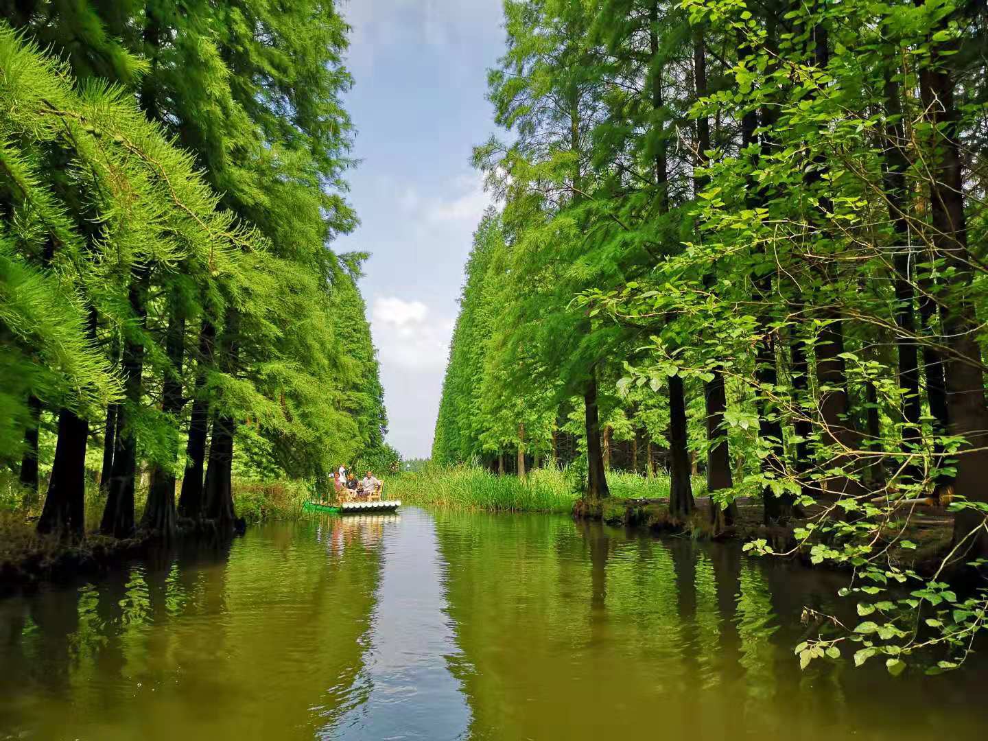 淮安金湖旅游景点大全图片