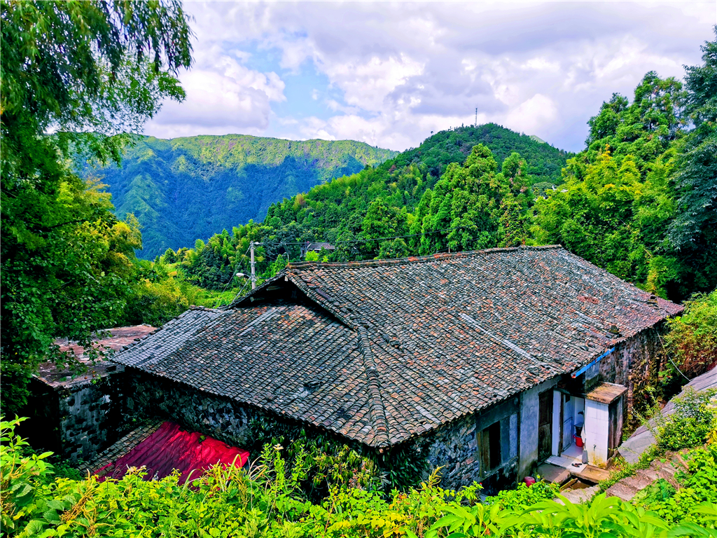 永嘉路口大亨村,一个名字好霸道的村