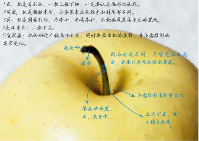 苹果虚实关系的表现六, 苹果的明暗表现深度解析五, 苹果的结构表现