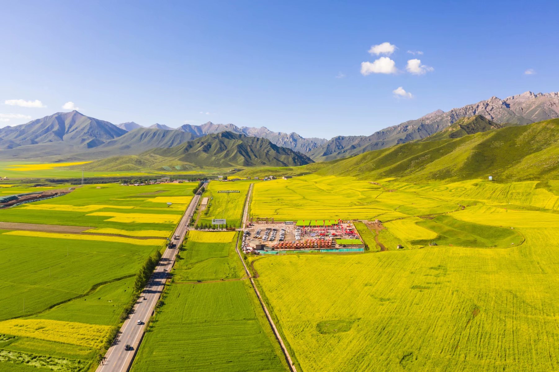 张掖民乐县扁都口油菜花祁连山脚下一抹金黄