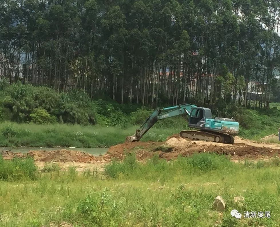 多措并举度尾镇大力开展木兰溪全流域治理工作