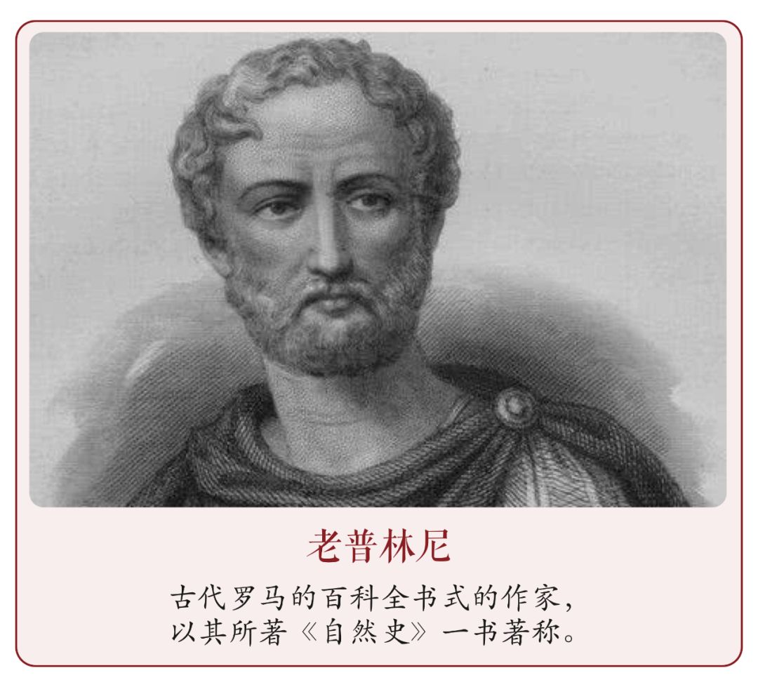 有位当时的学者叫老普林尼(gaius plinius secundus),他曾经用拉丁文