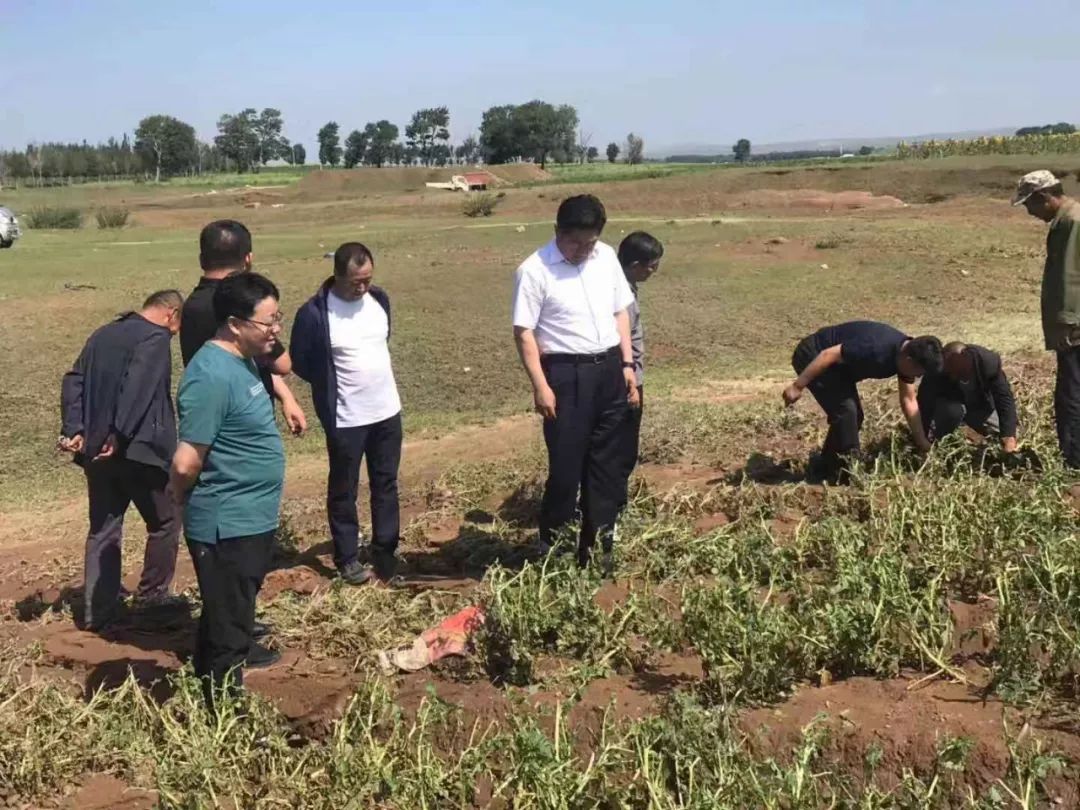 8月6日,市委常委,县委书记云海带领县相关部门负责人,分别深入上秃亥