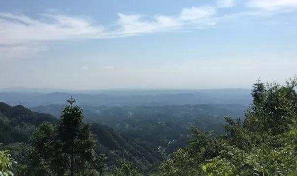 巴南有座双寨山,云雾缭绕,荷花盛开,邀你赶快来打卡!