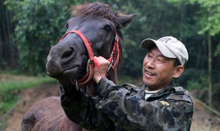 老人散尽万贯家财回归田园养鸡牧马遛狗劈柴