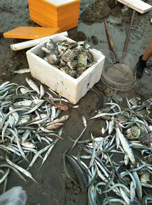 16号铁发丨498元湛江开渔节围海捕海鲜做捕鱼达人妈祖神庙开海祈福