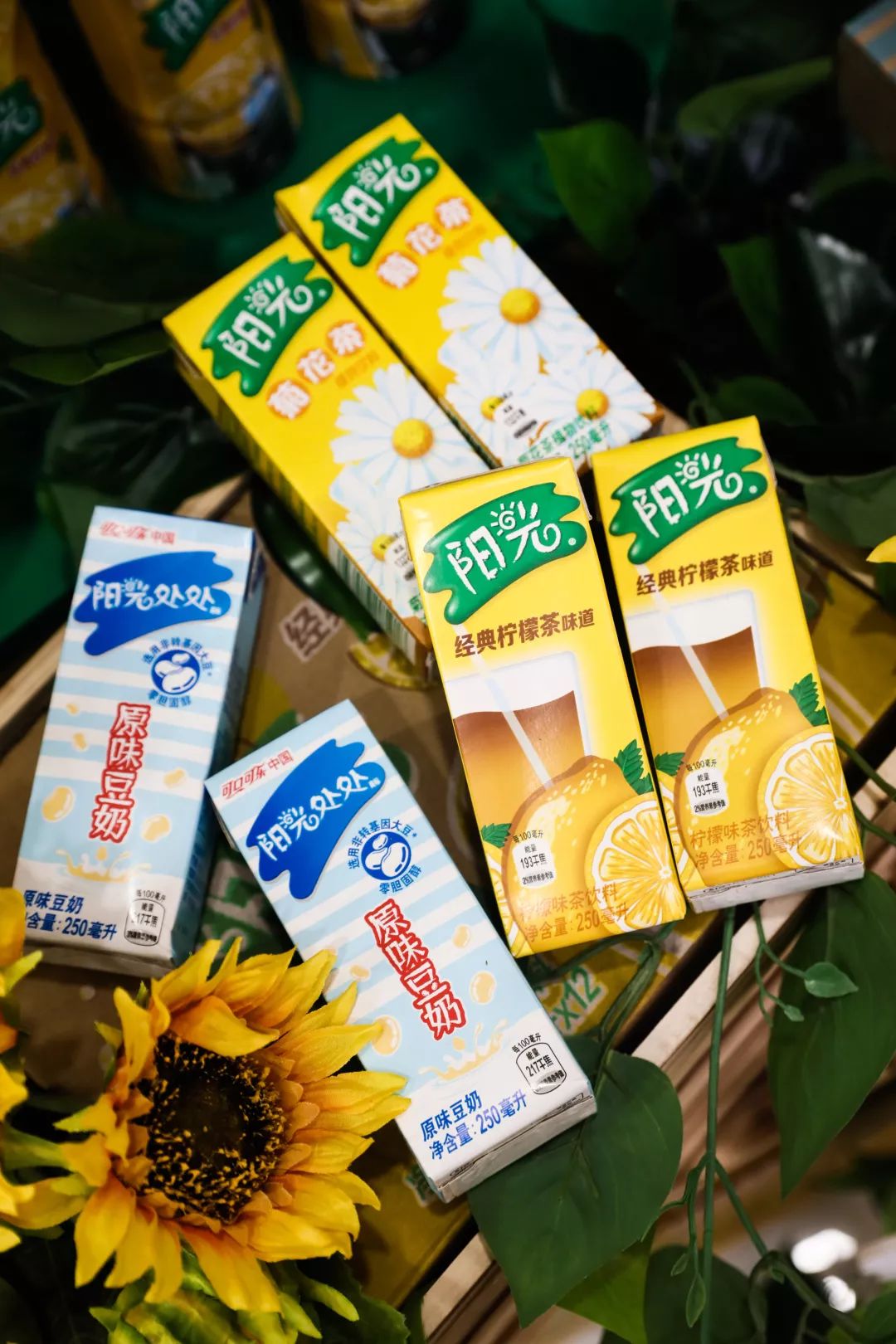 轻涩上市阳光柠檬茶广西正式开售柠开青春经典回忆