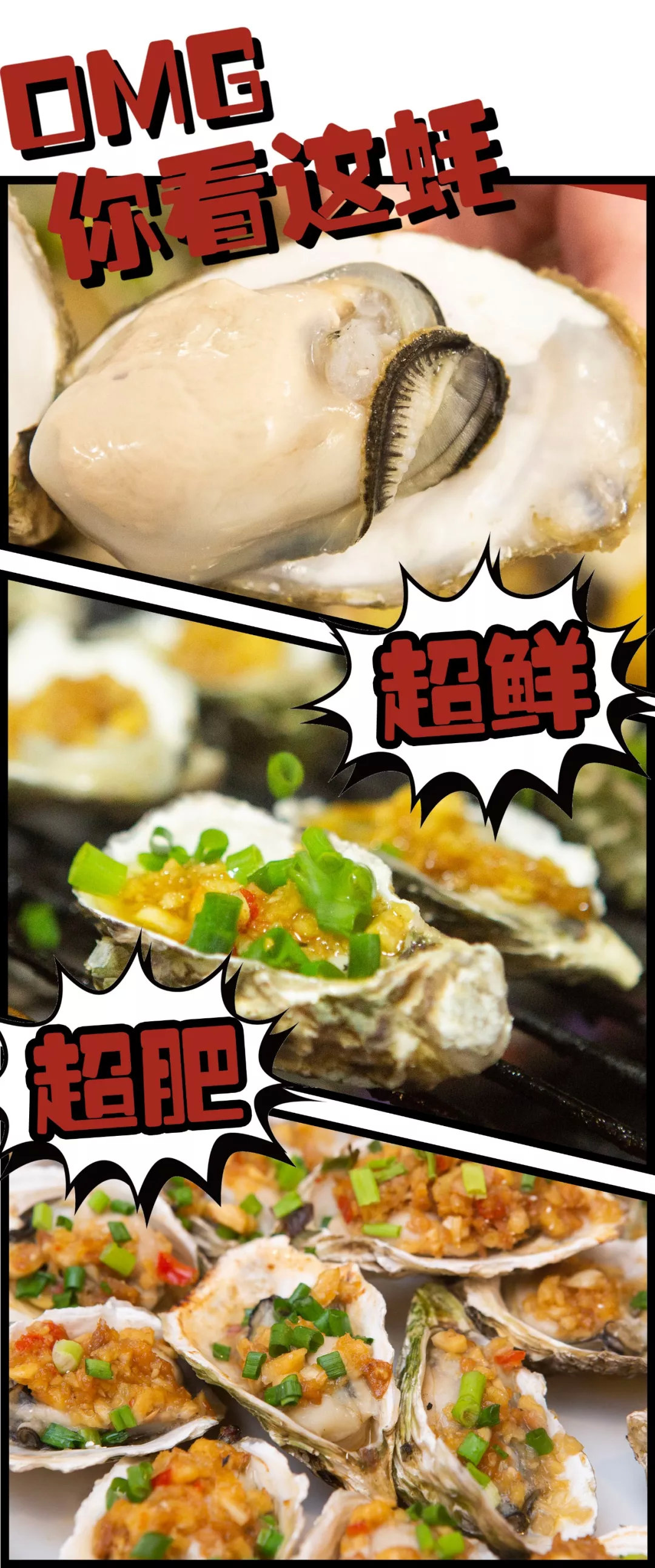 博士生蚝个个肥美鲜甜淌着海水上桌