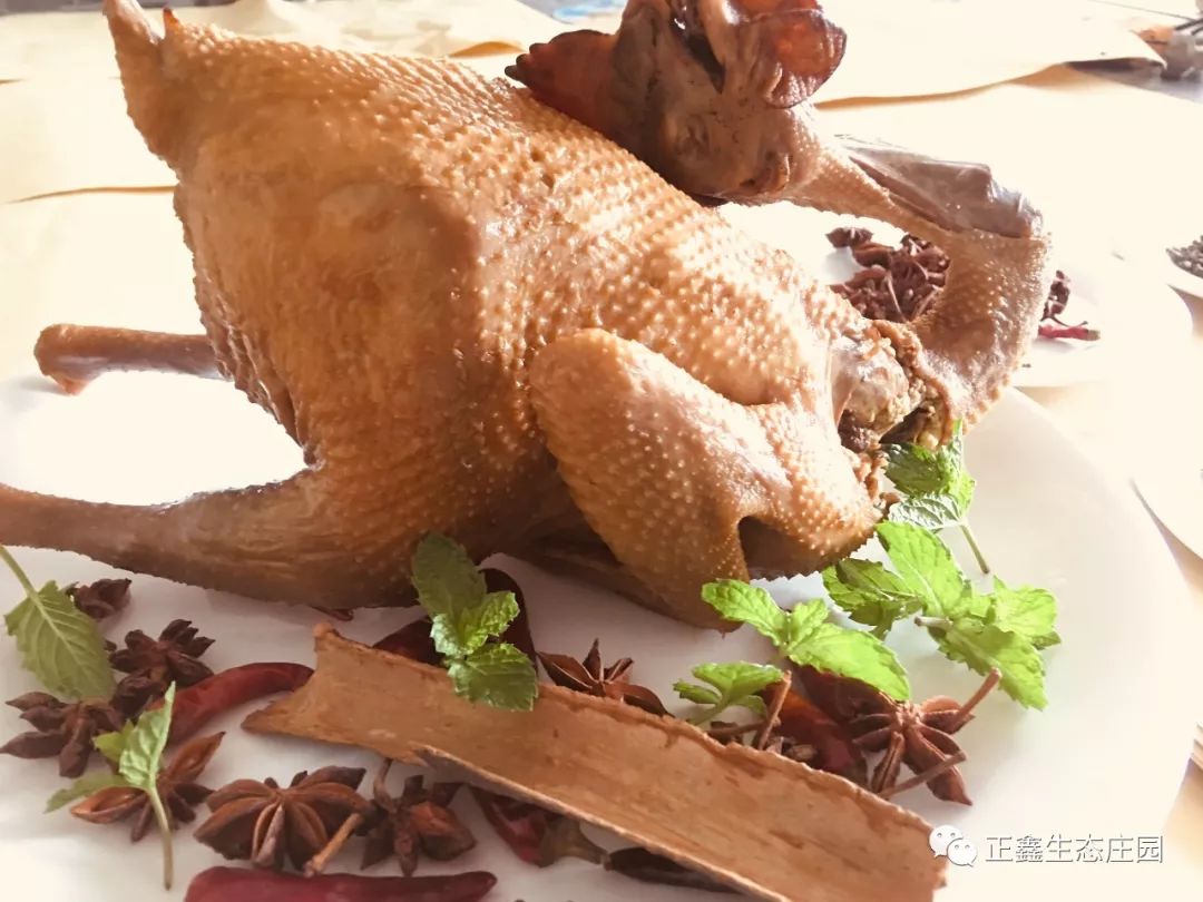 老母鸡我们的"鸡"01原因就在:为什么我们这么有信心麻椒鸡由山东德州