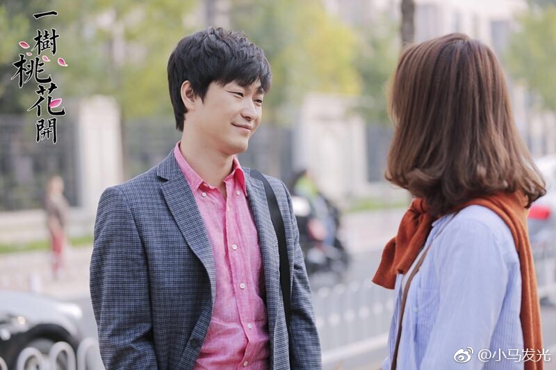 一树桃花开悲欢离合苦情深意更长