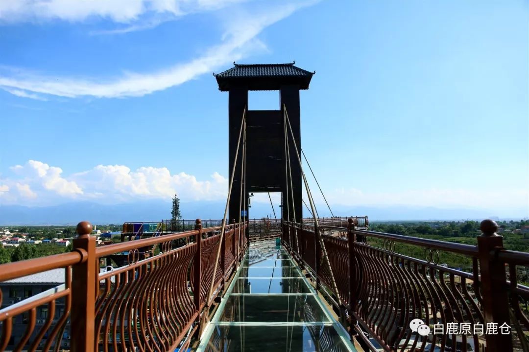 走上这里的"鹊桥",与恋人一起打卡心之所爱!_白鹿仓