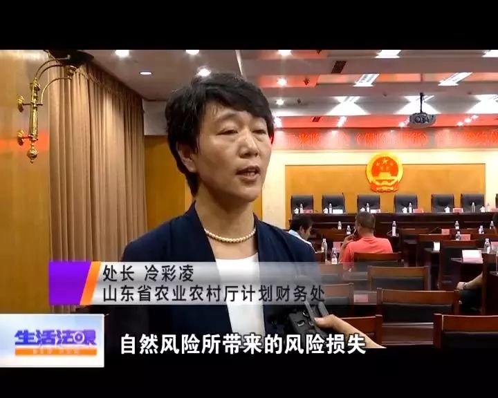 双保险为农民收入撑腰_孙祥勇