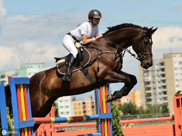 东方马汇马术高雅时尚西方称为第一贵族运动