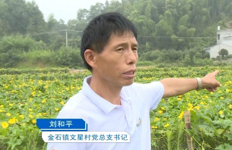 退伍军人风采刘和平退伍不褪色勇当致富领头雁