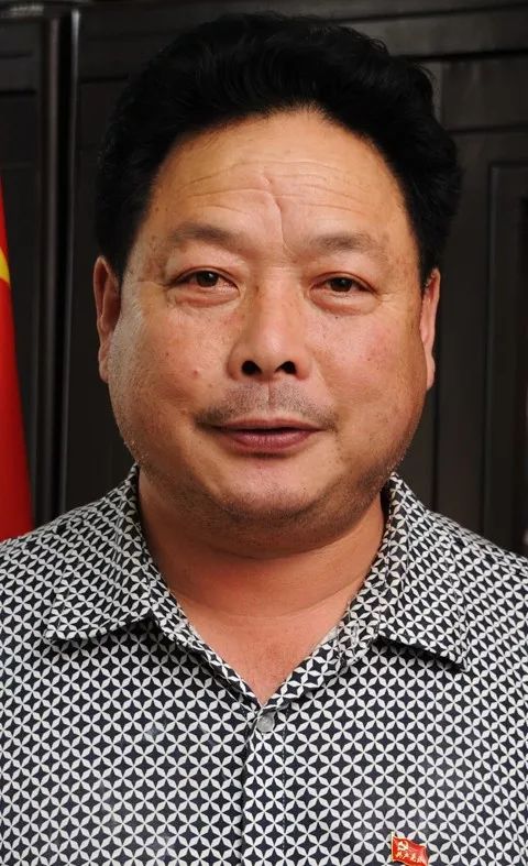 副处长兼人民公墓主任胡志远副处长张进君处长张继英调研员河北省