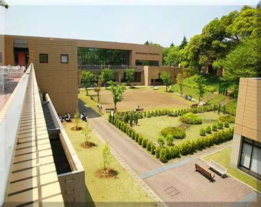 日本北海道星槎道都大学留学美知留学