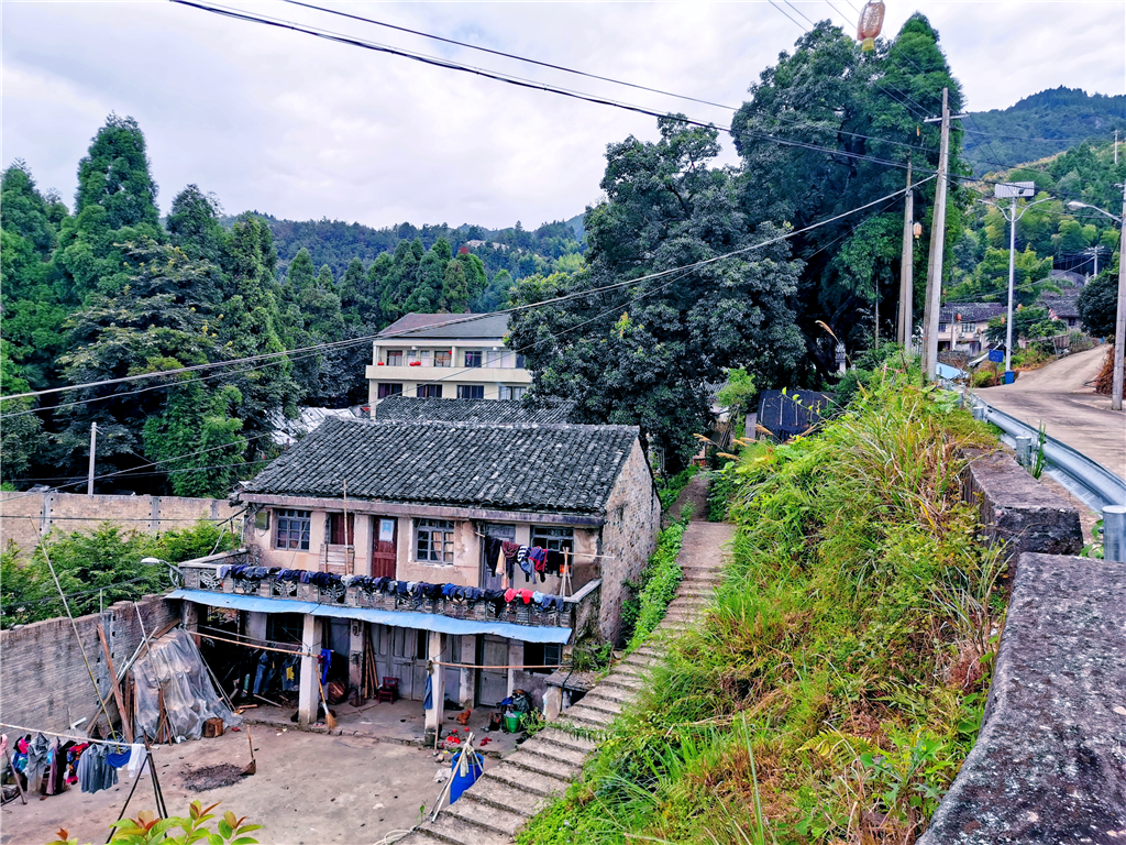 永嘉路口大亨村,一个名字好霸道的村