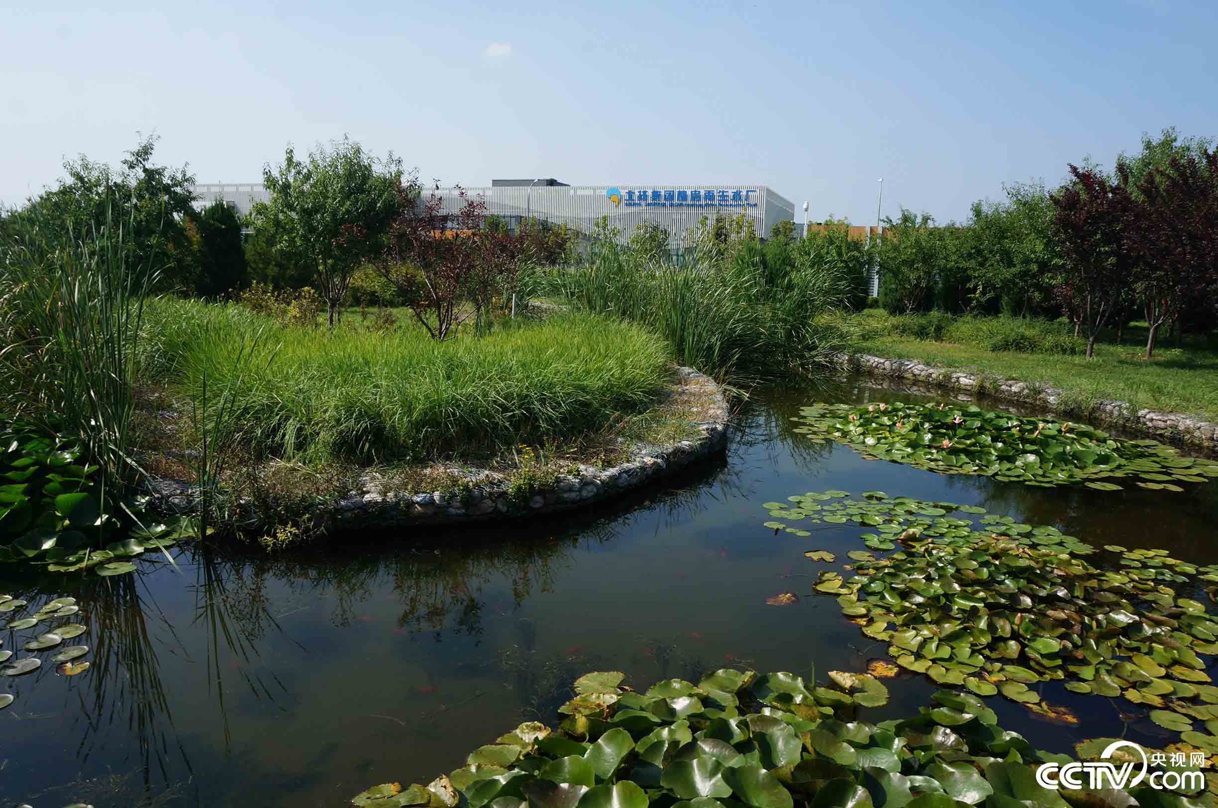 【瓣瓣同心·协同五年谱新篇】水韵京华 可渔可游——北京这座亚洲最