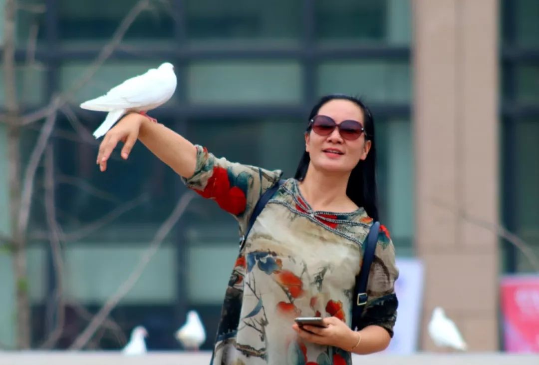 喜报叶浅韵散文坡可以是一个量词被散文选刊转载