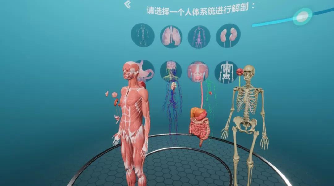 vr解剖实验室是为了更好地帮助使用者了解与学习人体生理结构,而开发