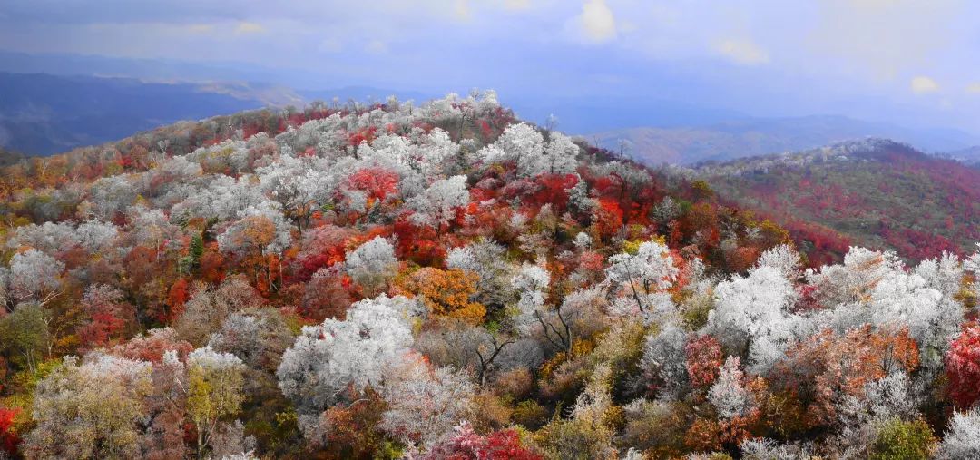 莫旗四方山图片