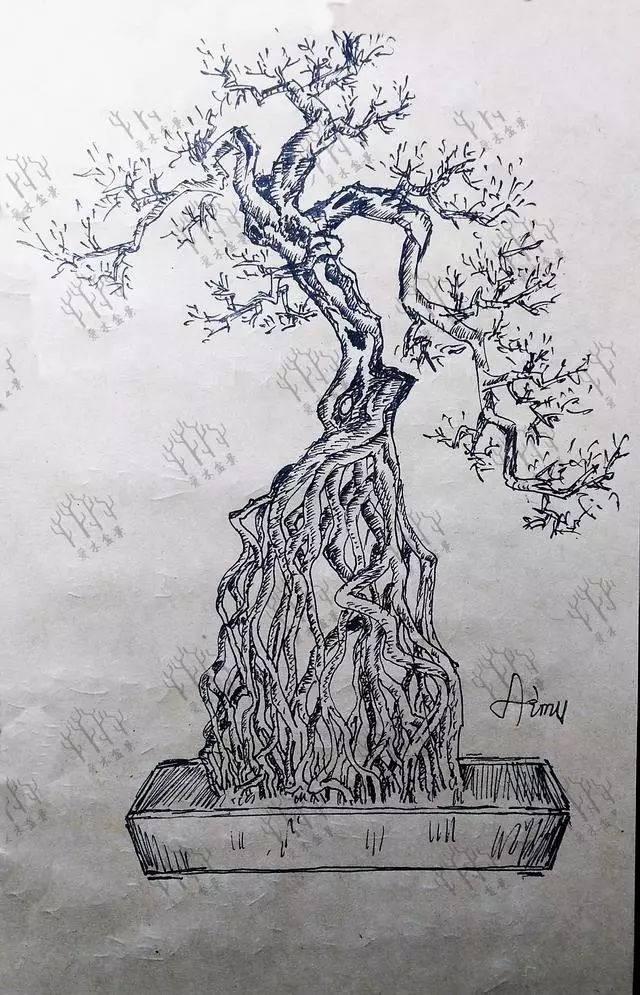 盆景设计i映山红造型设计对桩材的规划应该是是锦上添花