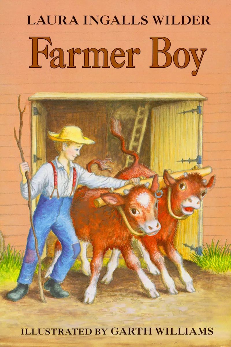 farmer boy大森林里的梅花鹿,大懒熊,冬天的白雪,春天树上的绿芽,还有