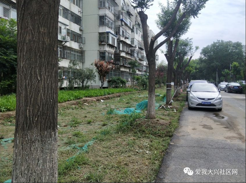 大興關注物業屢遭投訴大興這小區淪為免費停車場