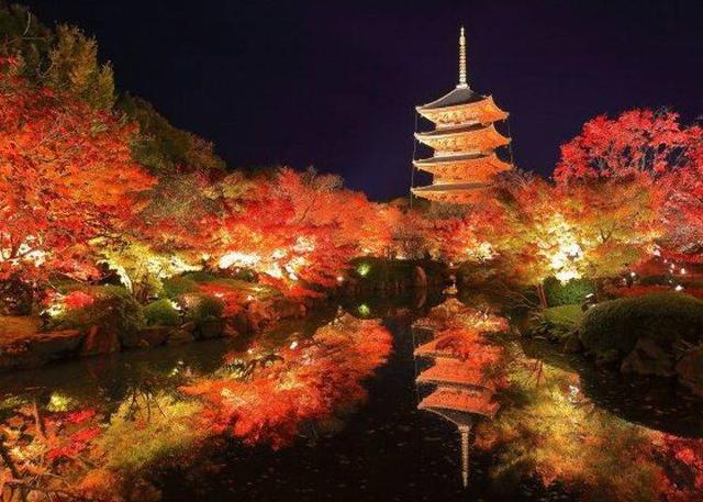 在东寺眺望京都地标“五重塔”!漫步于染上红叶色彩的园区_金堂