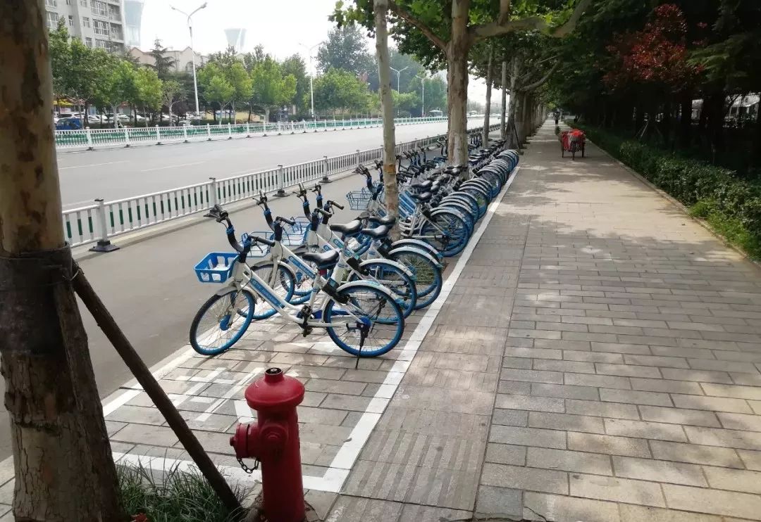 潍坊城区完成200处共享单车停车区域划线,具体停车点位置都在这!