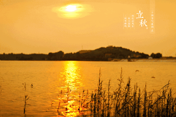 立秋养生 | 秋风清爽送凉意,"四养三防"添欢喜_收敛