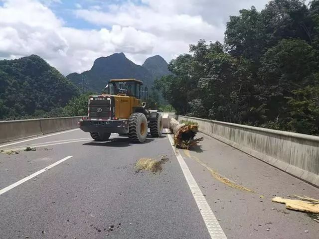 小磨高速惊现拦路树一路三方快速联动保畅通