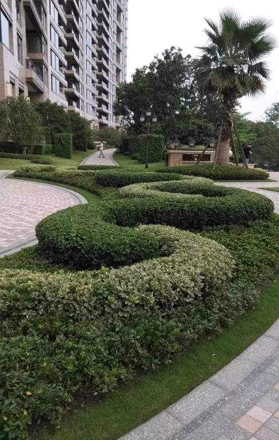 了解园林绿化养护标准